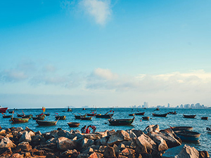 优势明显，资本蜂拥而入