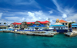 新加坡和香港公司对股东、董事的要求