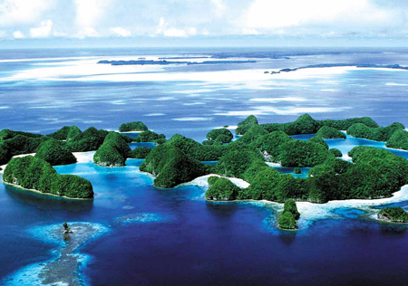 开曼公司注册要求