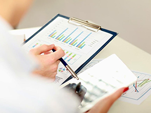 审计及基金年度申报表（FAR）