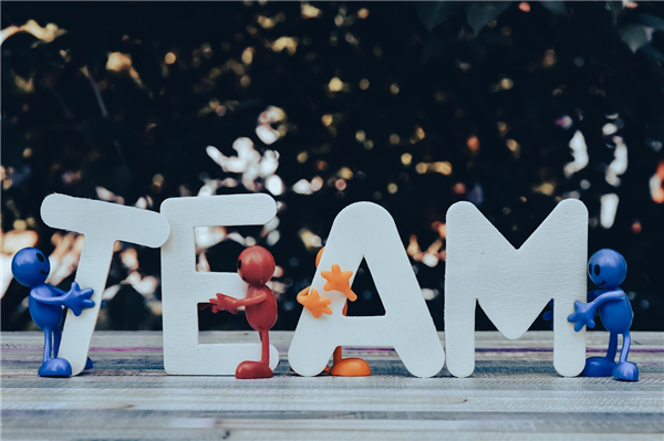 Vistra核心服务能力