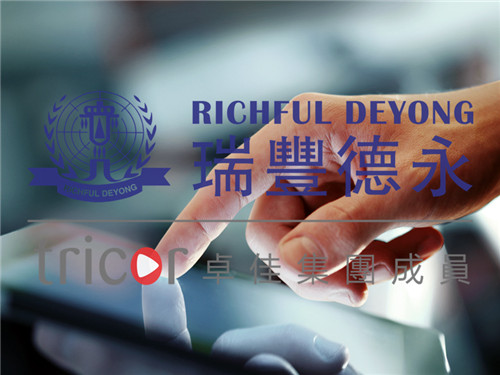 香港专才计划申请关注要点